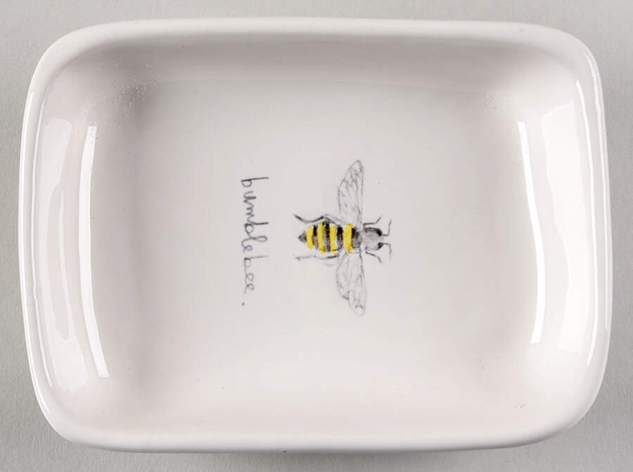 Garden Insects (Script) Rectangular Dish by Magenta-1