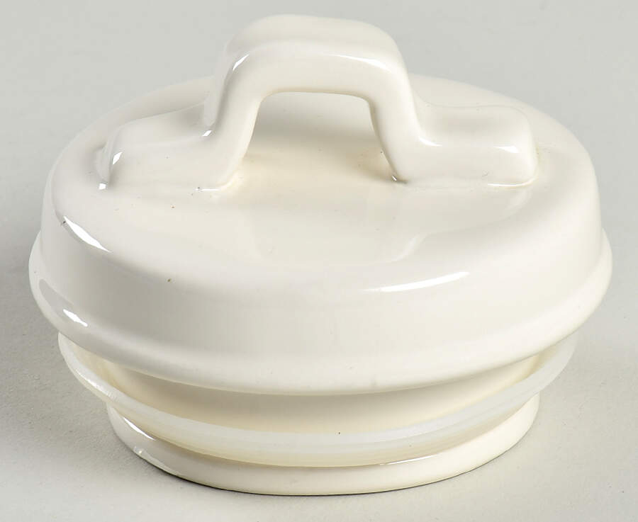 Garden Insects (Script) Lid for Large Canister by Magenta-1