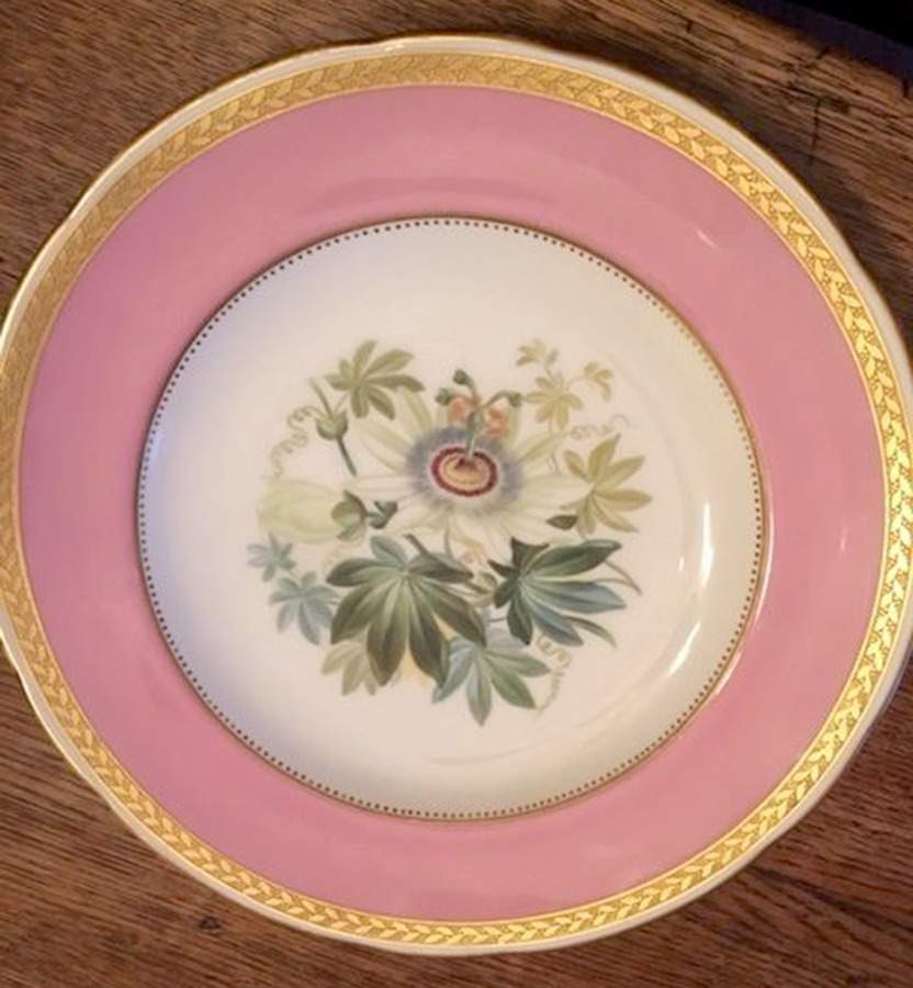 A7336 Dinner Plate by Minton-1