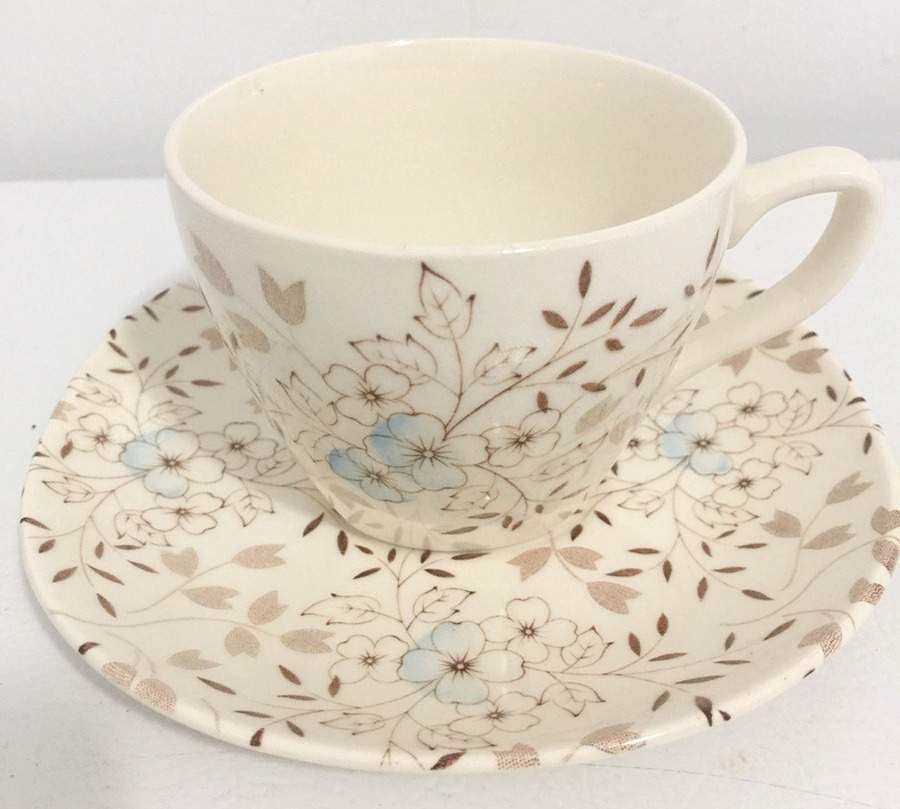 Floiriana Flat Cup & Saucer Set by J & G Meakin-1