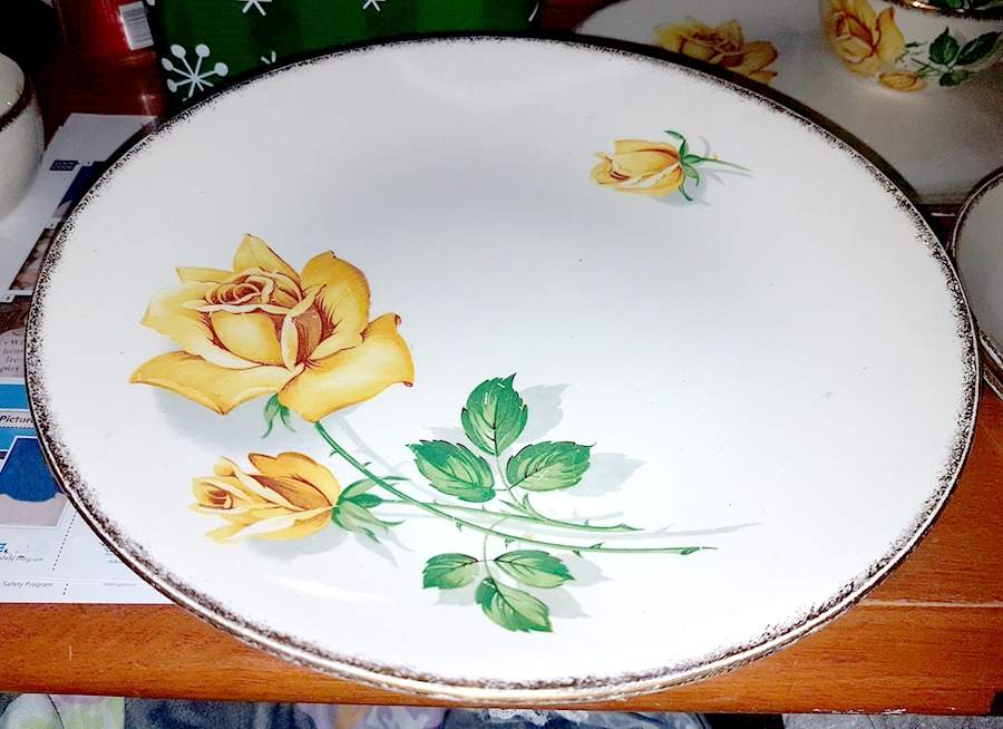 MEK442 Dinner Plate by J & G Meakin-1