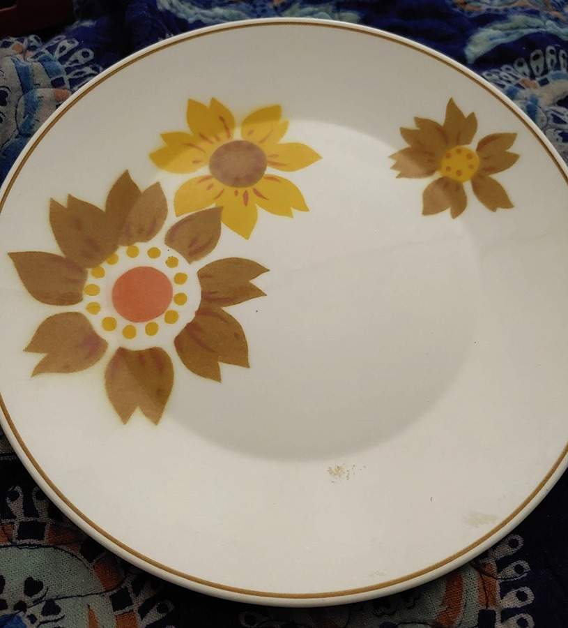 Caper Dinner Plate by Mikasa-1