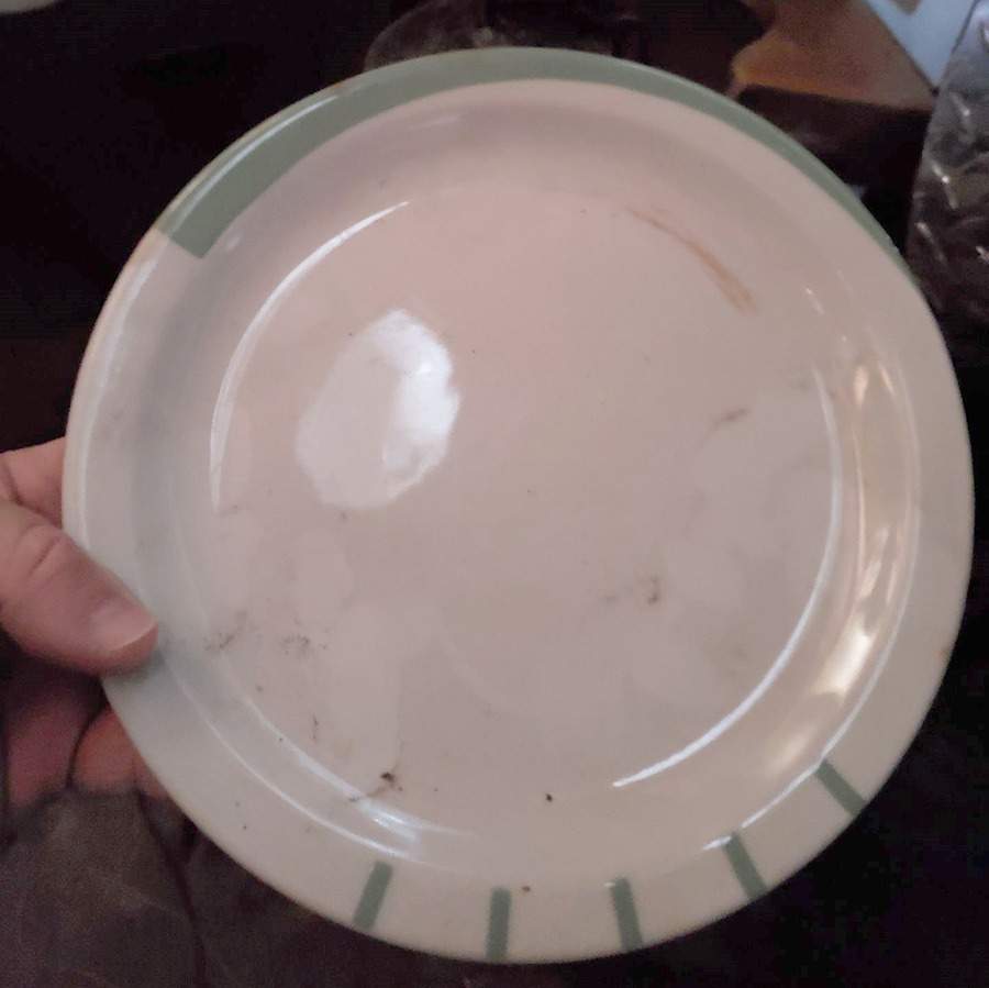 MYR82 Dinner Plate by Mayer (American)-1