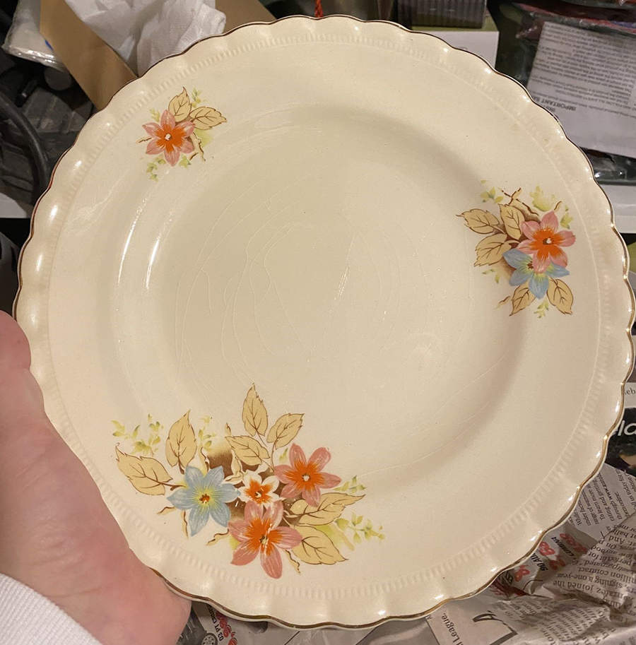 MEK448 Dinner Plate by J & G Meakin-1