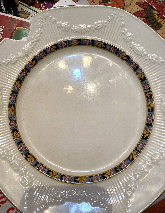 MEK449 Dinner Plate by J & G Meakin-1