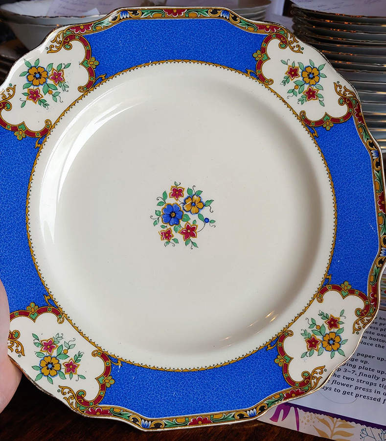 Excelsior Dinner Plate by Myott Staffordshire-1