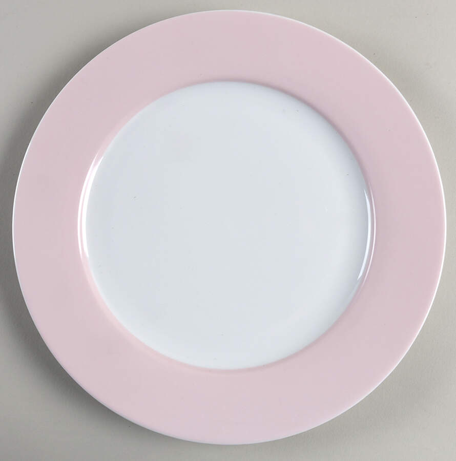 Gracie Lane Pink Dinner Plate by Martha Stewart-1