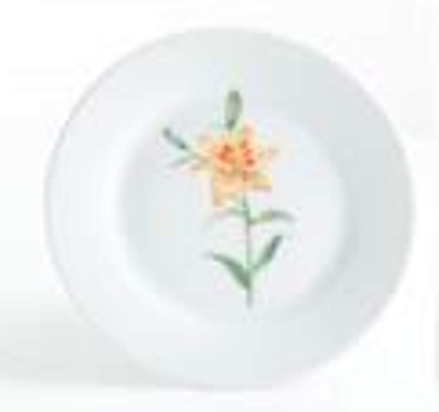 Skylands Botanic Salad/Dessert Plate by Martha Stewart-1