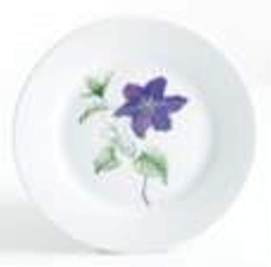 Skylands Botanic Salad/Dessert Plate by Martha Stewart-1
