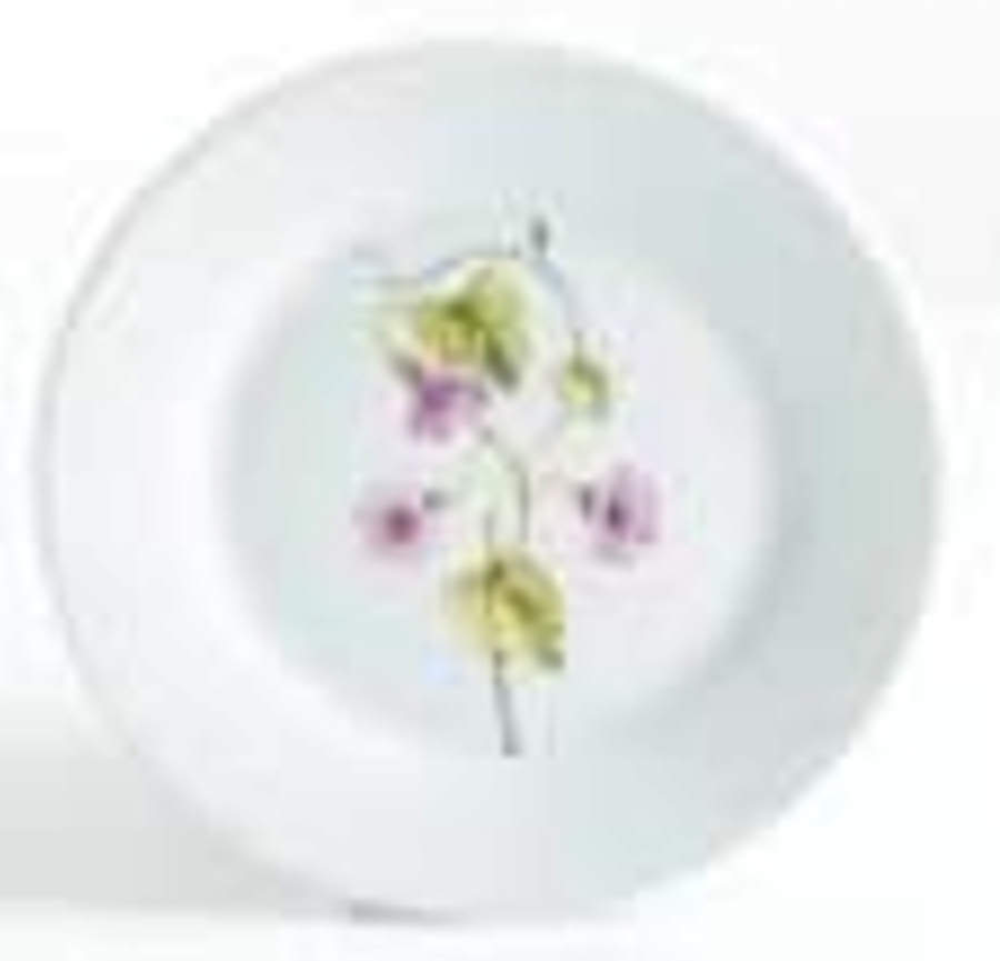 Skylands Botanic Salad/Dessert Plate by Martha Stewart-1