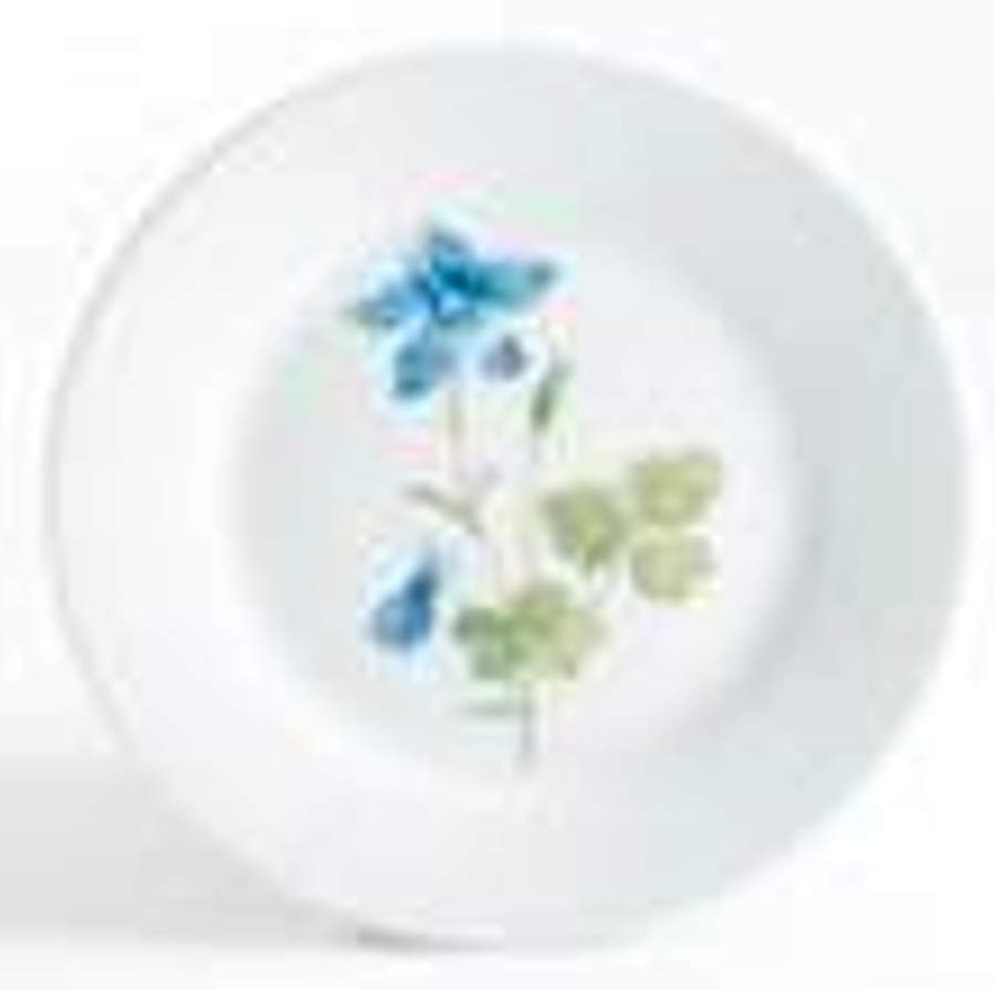 Skylands Botanic Salad/Dessert Plate by Martha Stewart-1