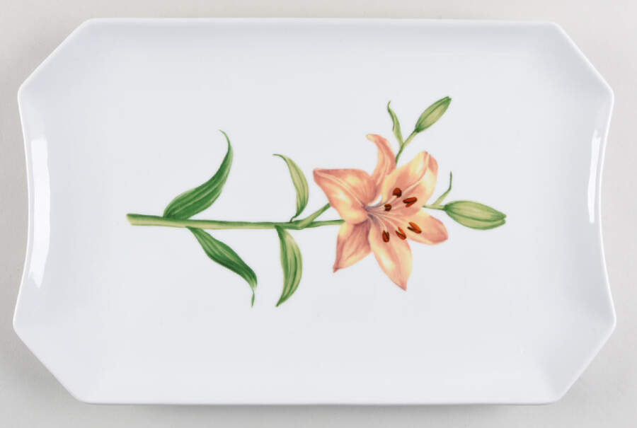 Skylands Botanic 14" Rectangular Serving Platter by Martha Stewart-1