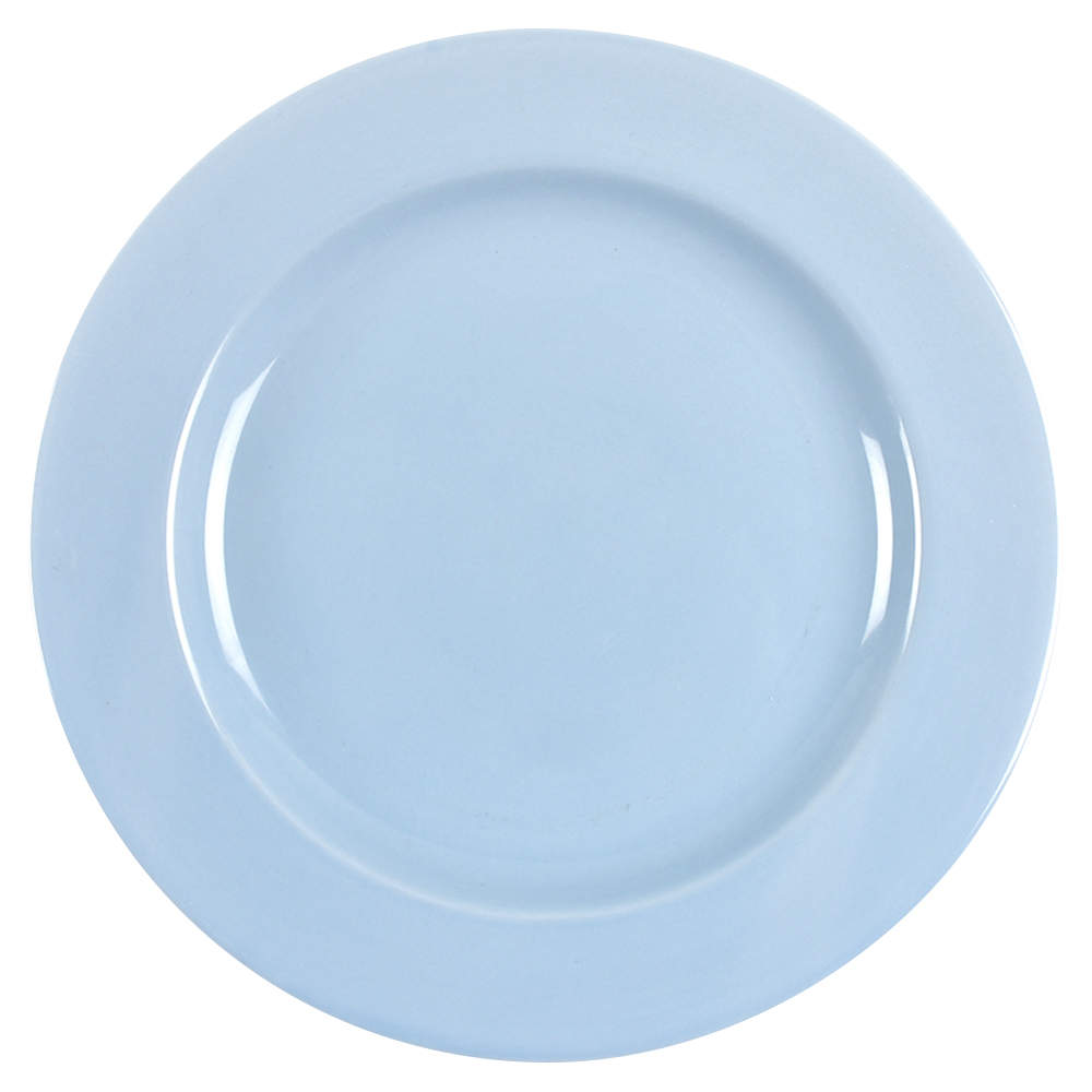 Classic Sky Blue Dinner Plate by Martha Stewart-1