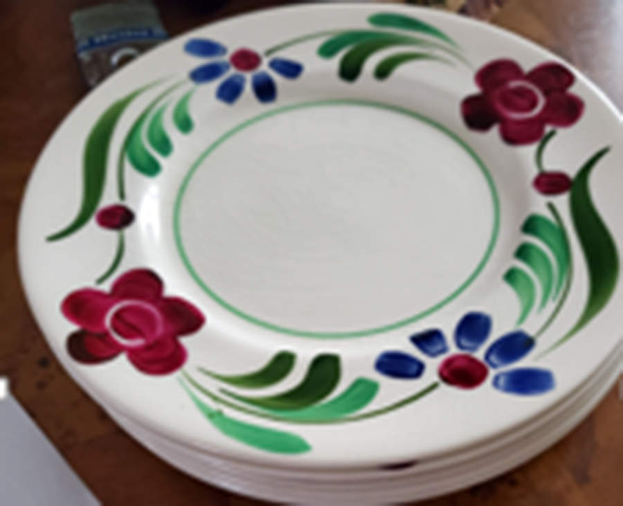 Rusticana Salad Plate by Myott Staffordshire-1