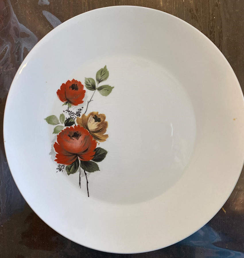 MEK451 Dinner Plate by J & G Meakin-1