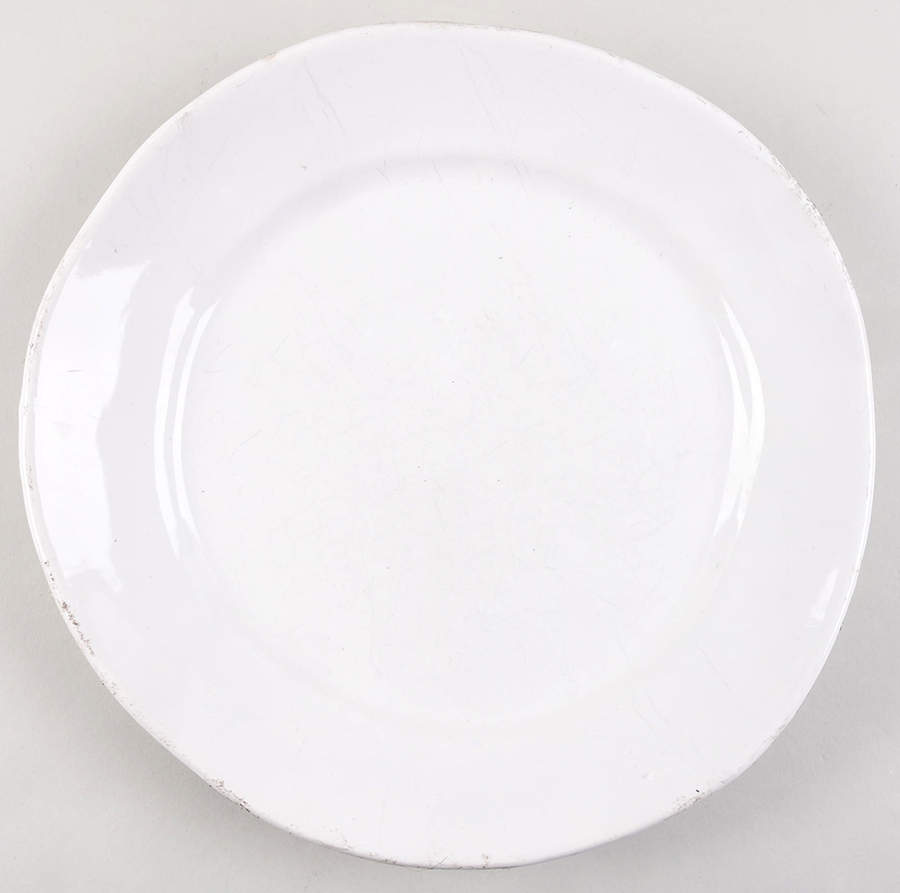 MLJ24 Dinner Plate by Maioliche Jessica-1