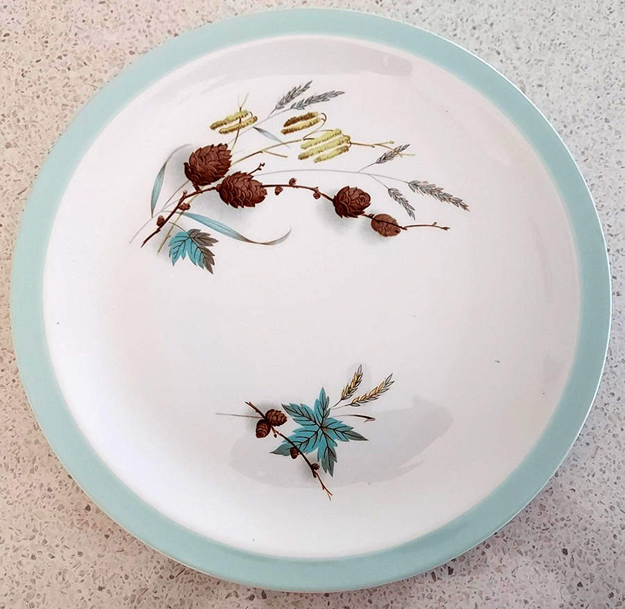 Charmwood Dinner Plate by Alfred Meakin-1