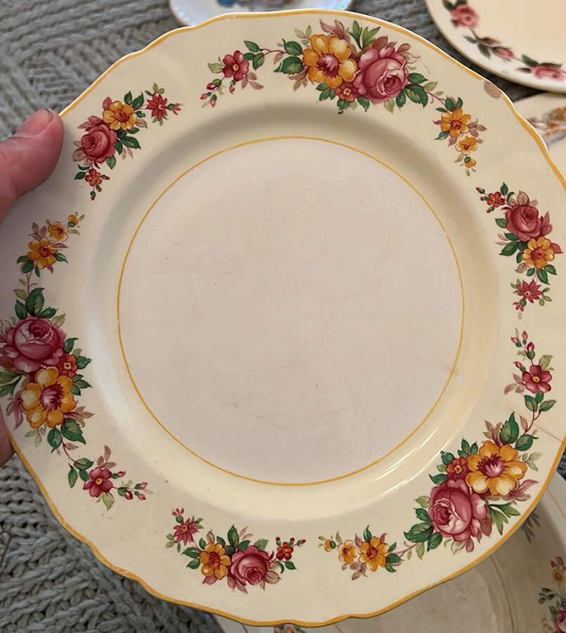 Fiesta Dinner Plate by Alfred Meakin-1