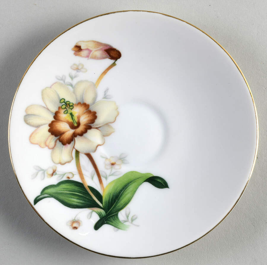 Wildwood (1 3-4" Rim, White) Saucer by Meito-1