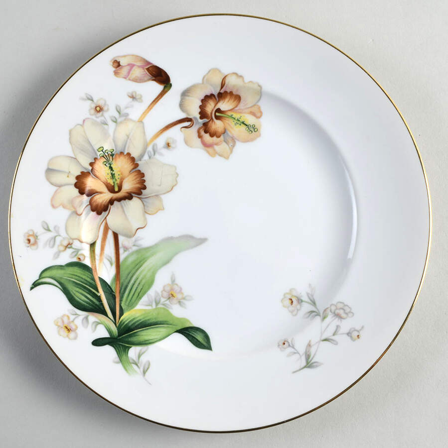 Wildwood (1 3-4" Rim, White) Dinner Plate by Meito-1