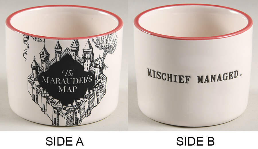 Harry Potter Ramekin by Magenta-1