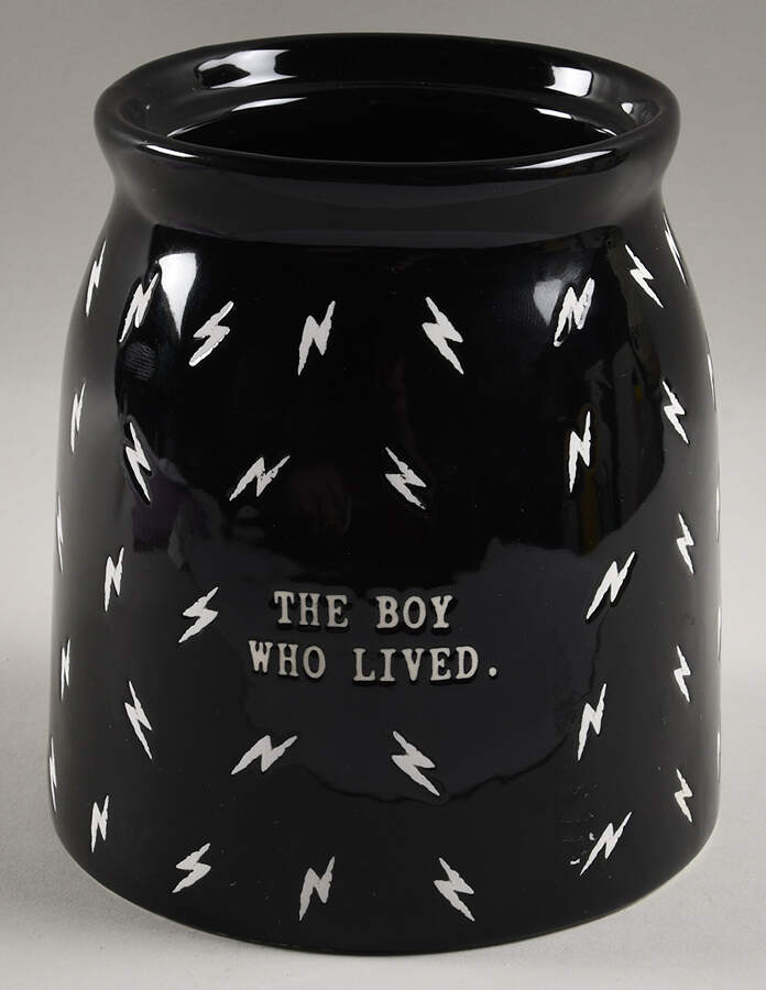 Harry Potter Medium Canister No Lid by Magenta-1