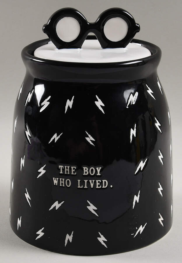 Harry Potter Medium Canister & Lid by Magenta-1