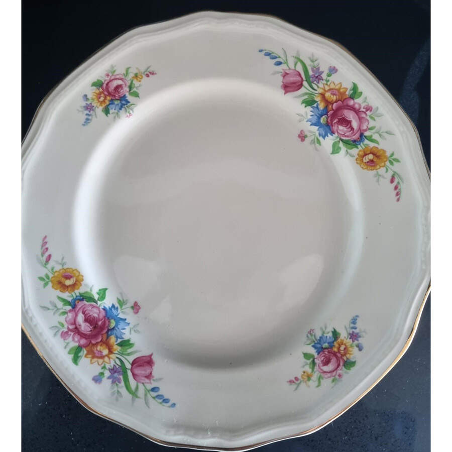 Ripon Multicolor Dinner Plate by Alfred Meakin-1