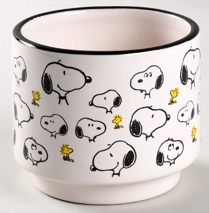 Peanuts Ramekin by Magenta-1
