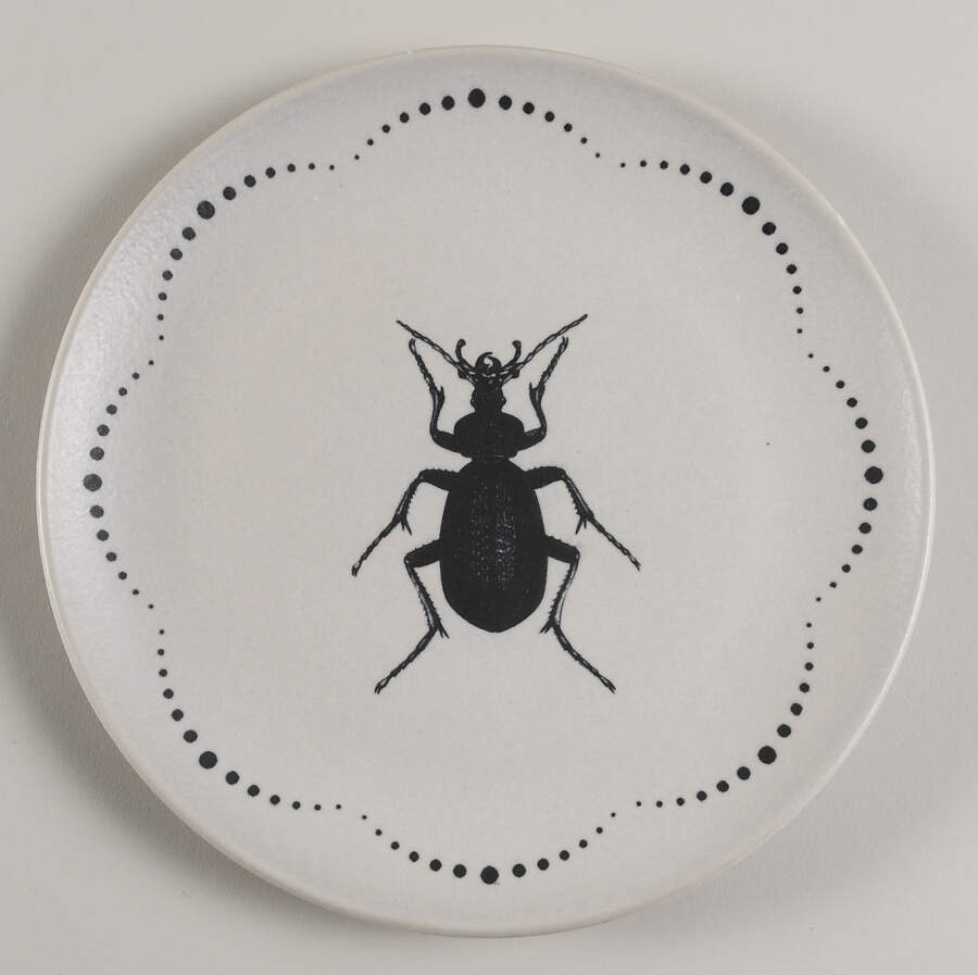 MB84 Salad Plate by Mesa Brasil-1
