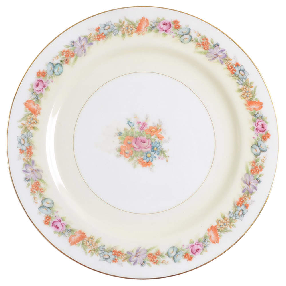 Stratford Dinner Plate by Narumi-1