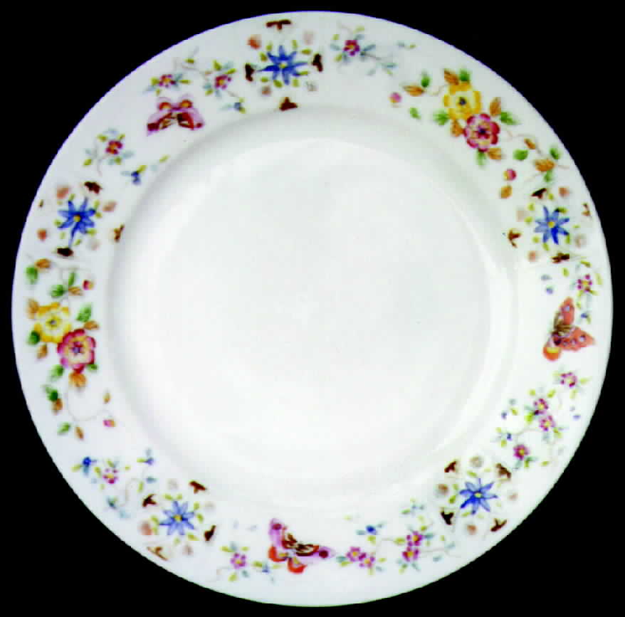 11678 Dinner Plate by Noritake-1