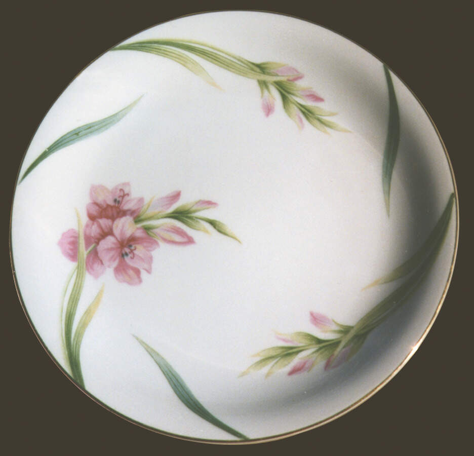 Karen (1595g, Gold Trim) Dinner Plate by Noritake-1
