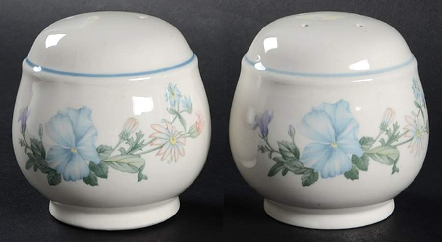 Abbotswood Salt & Pepper Set by Noritake-1