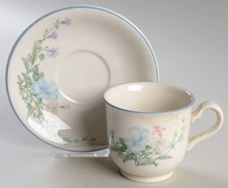 Abbotswood Footed Cup & Saucer Set by Noritake-1