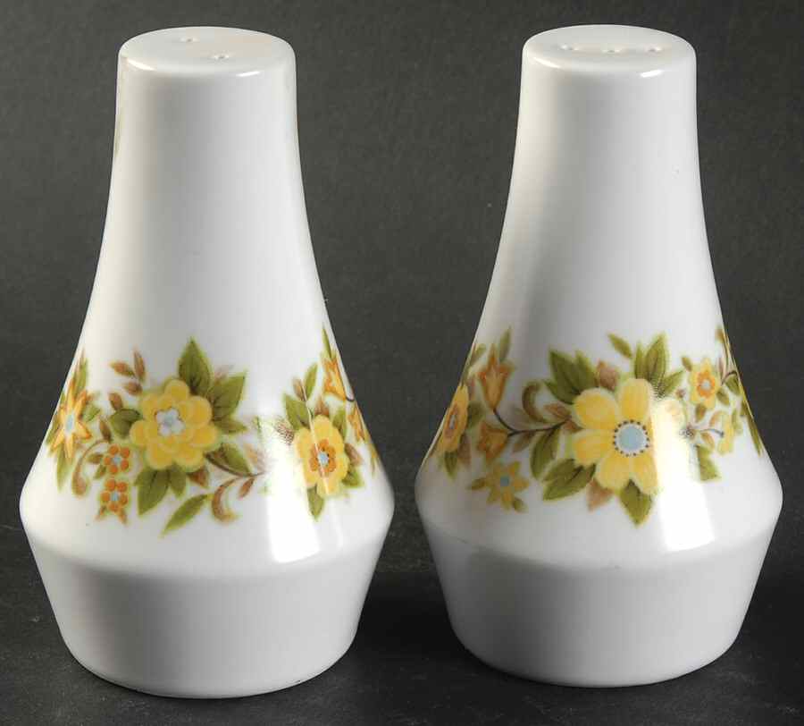 Acapulco Salt & Pepper Set by Noritake-1