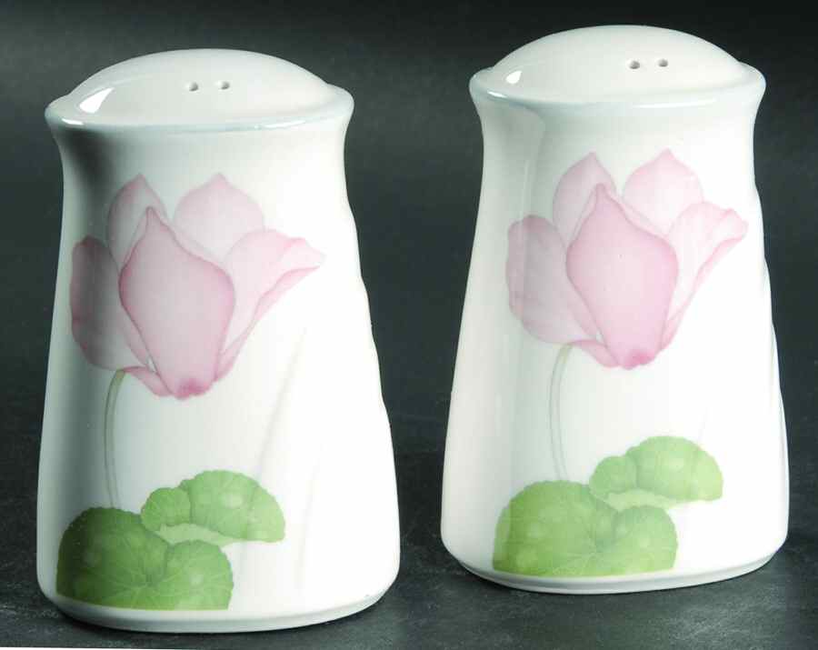 After The Rain Salt & Pepper Set by Noritake-1