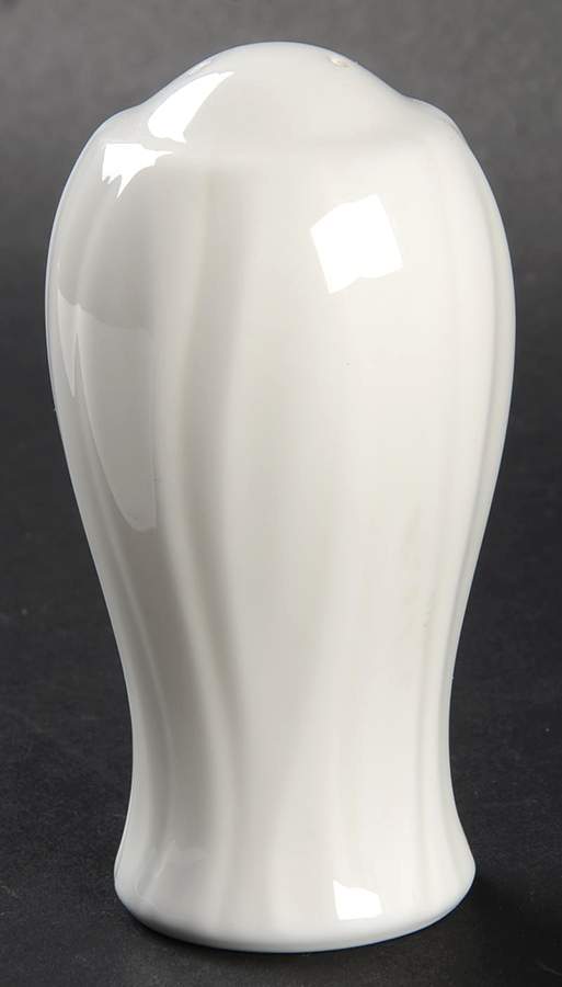 Allaire Salt Shaker by Noritake-1