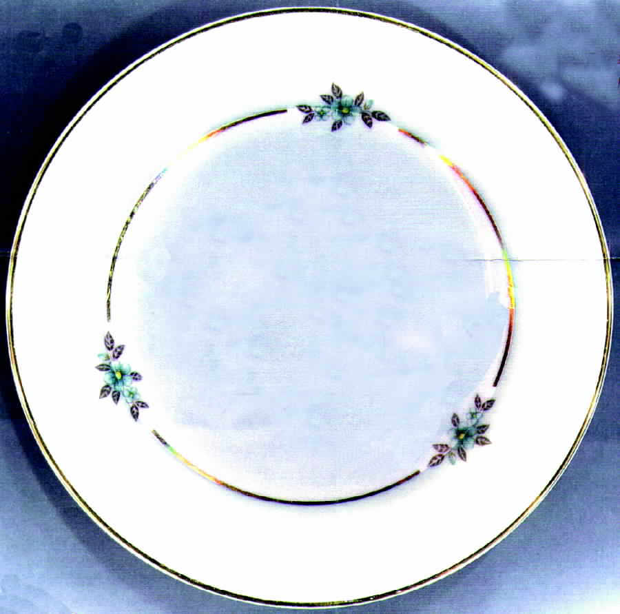 Anjou Bread & Butter Plate by Noritake-1