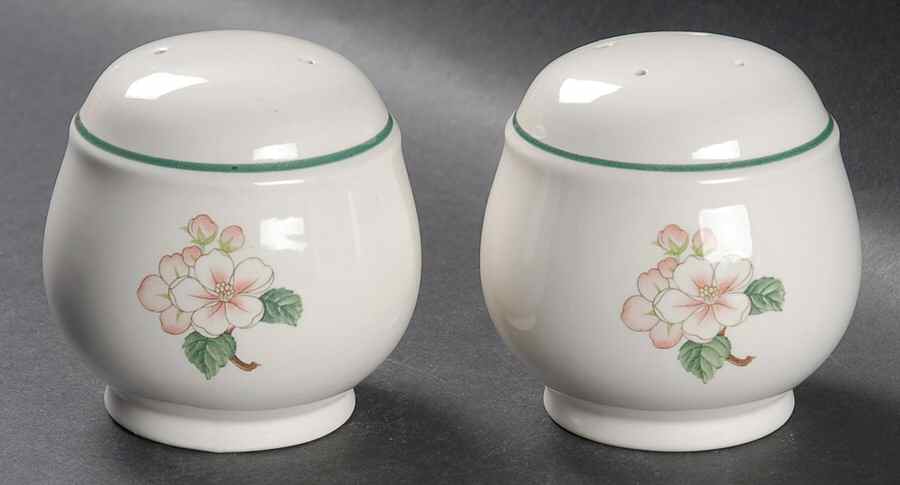 Apple Crisp Salt & Pepper Set by Noritake-1