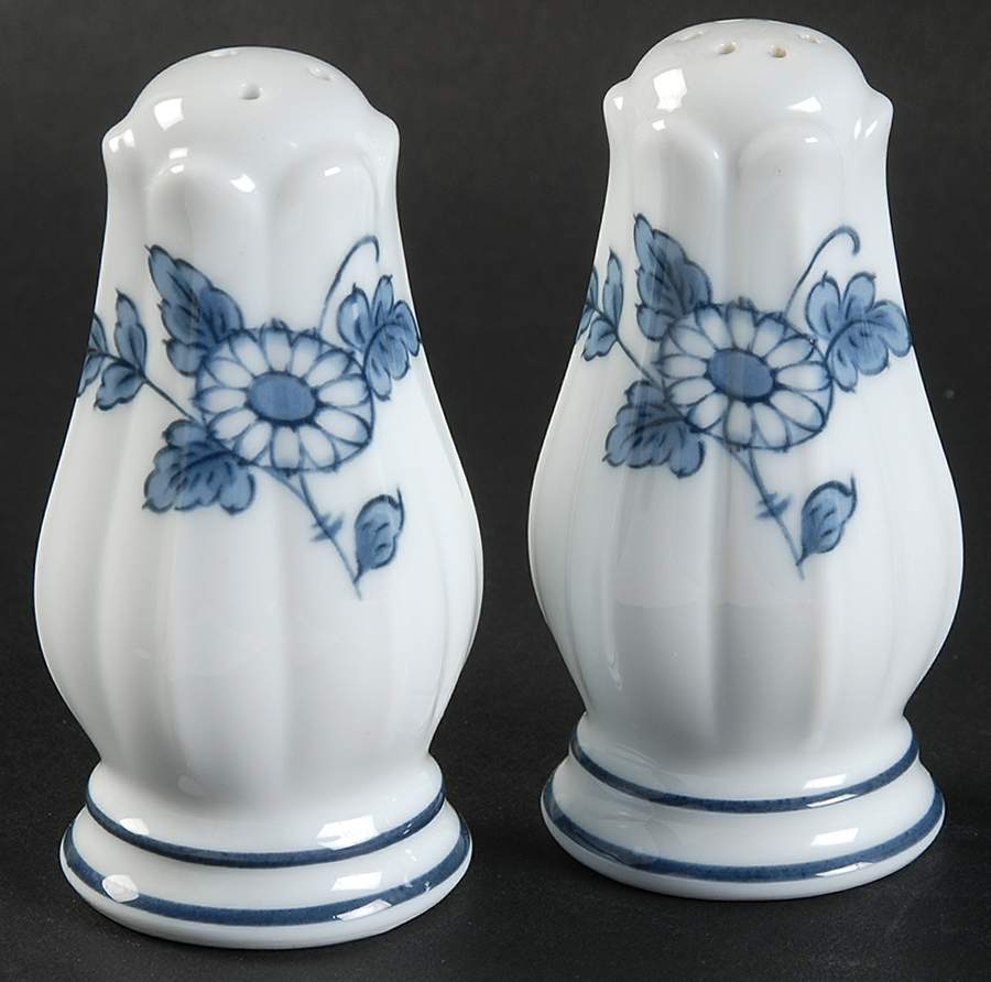 Arcadia Salt & Pepper Set by Noritake-1