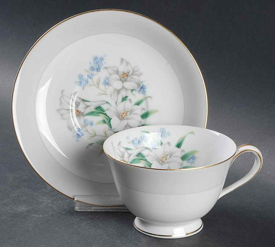 Arcadia Footed Cup & Saucer Set by Noritake-1