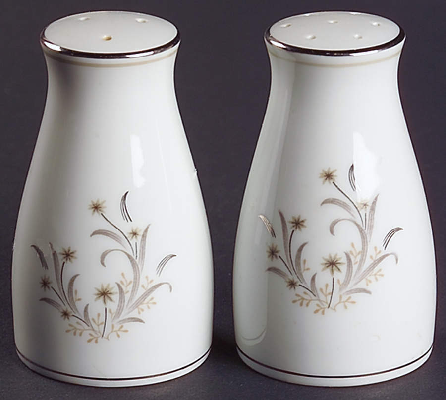 Ardis Salt & Pepper Set by Noritake-1
