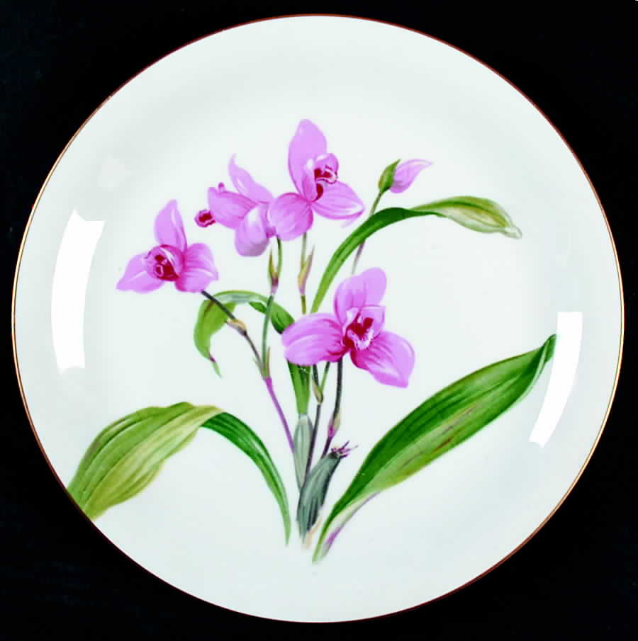 Ardine Dinner Plate by Noritake-1