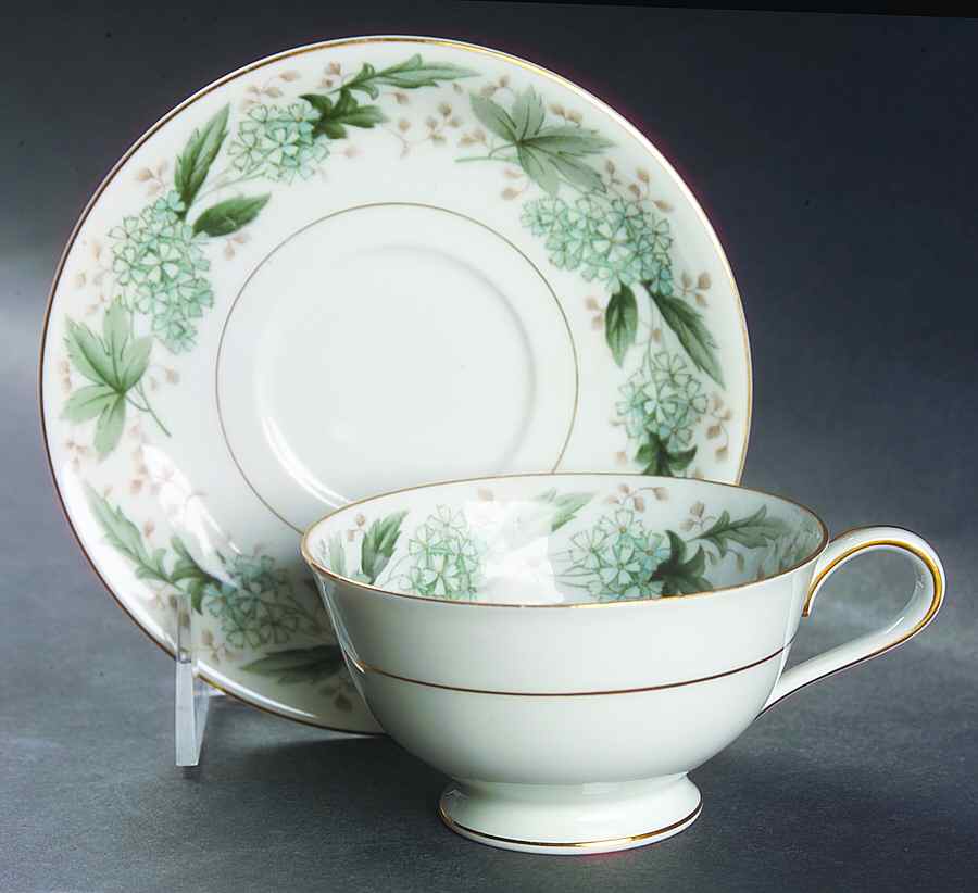 Argyle Footed Cup & Saucer Set by Noritake-1