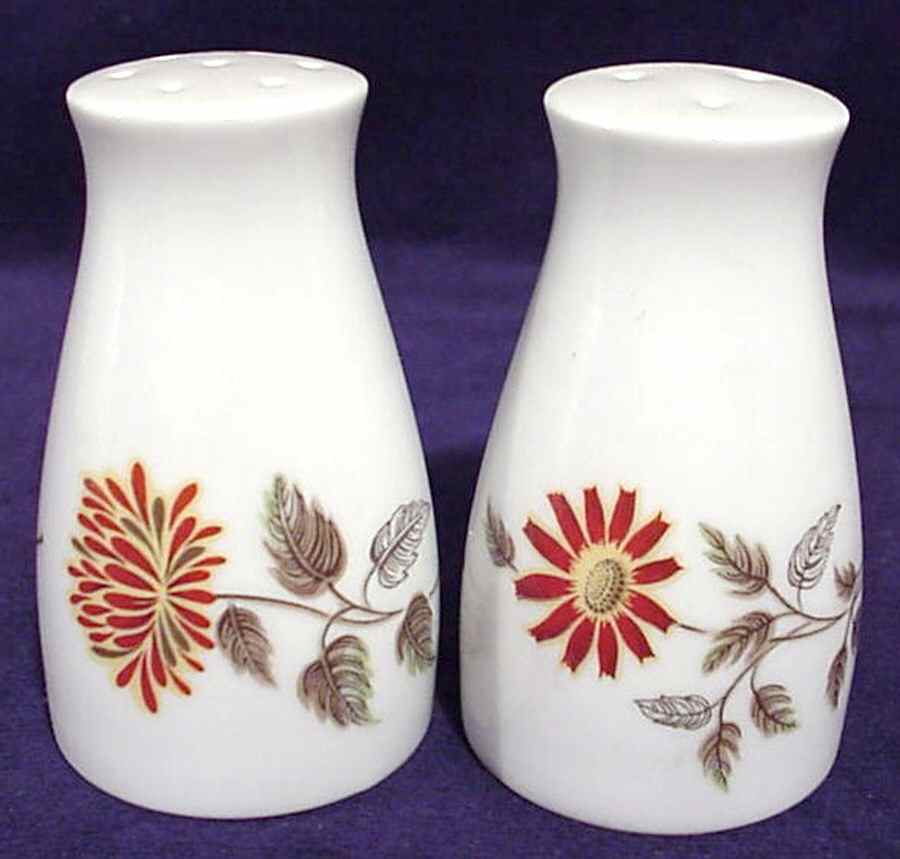 Auburn Salt & Pepper Set by Noritake-1