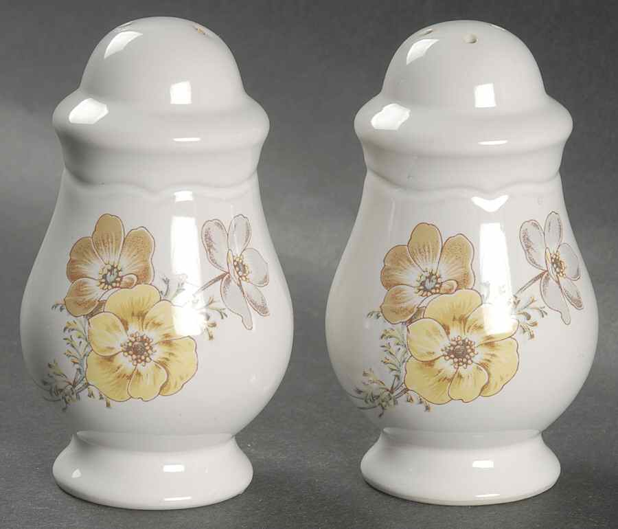 Autumnwind Salt & Pepper Set by Noritake-1