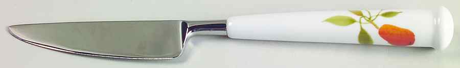 Berries 'n Such Small Dinner Knife by Noritake-1