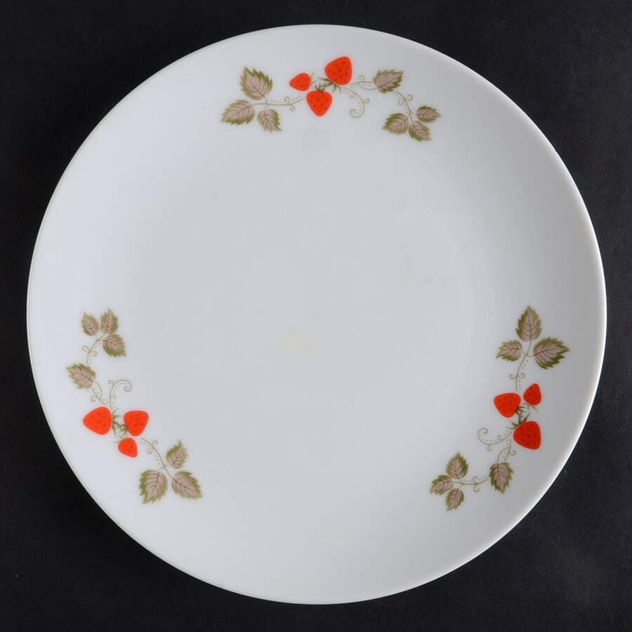 Berry Time Salad Plate by Noritake-1