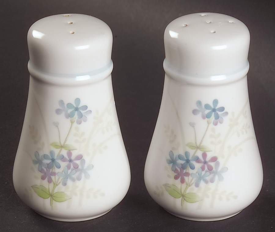 Bewitch Salt & Pepper Set by Noritake-1
